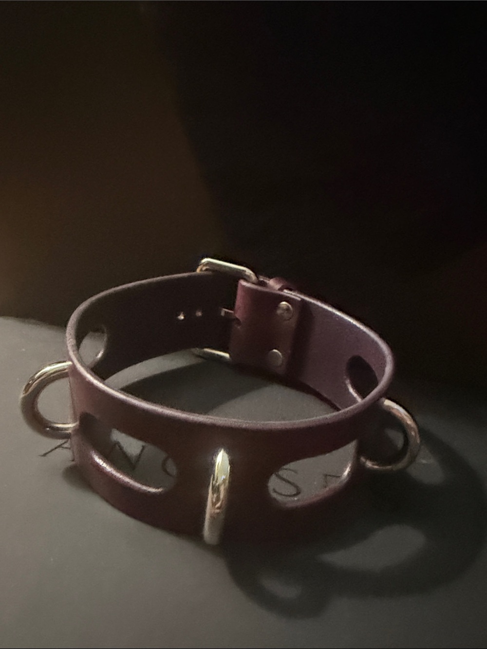 NIB Anoeses Burgundy Leather Collar with Silver O-Rings - Deep Plum